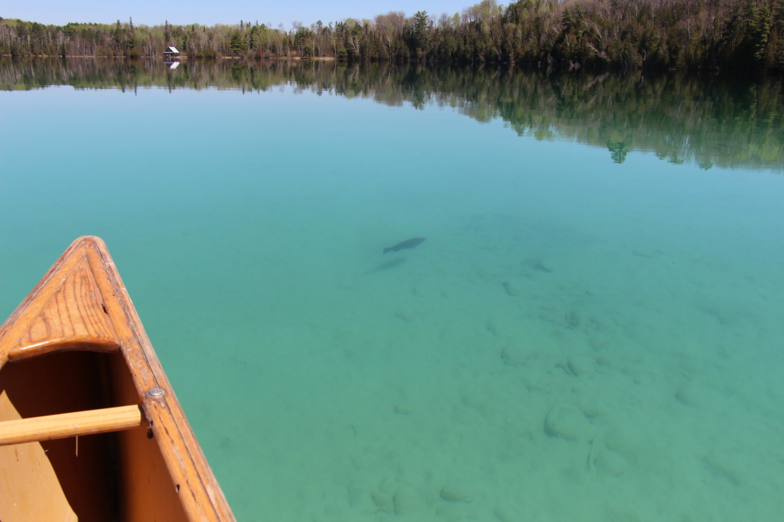 Emerald Lake